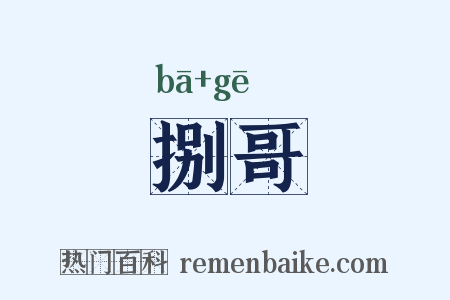 捌哥是什么意思的图片
